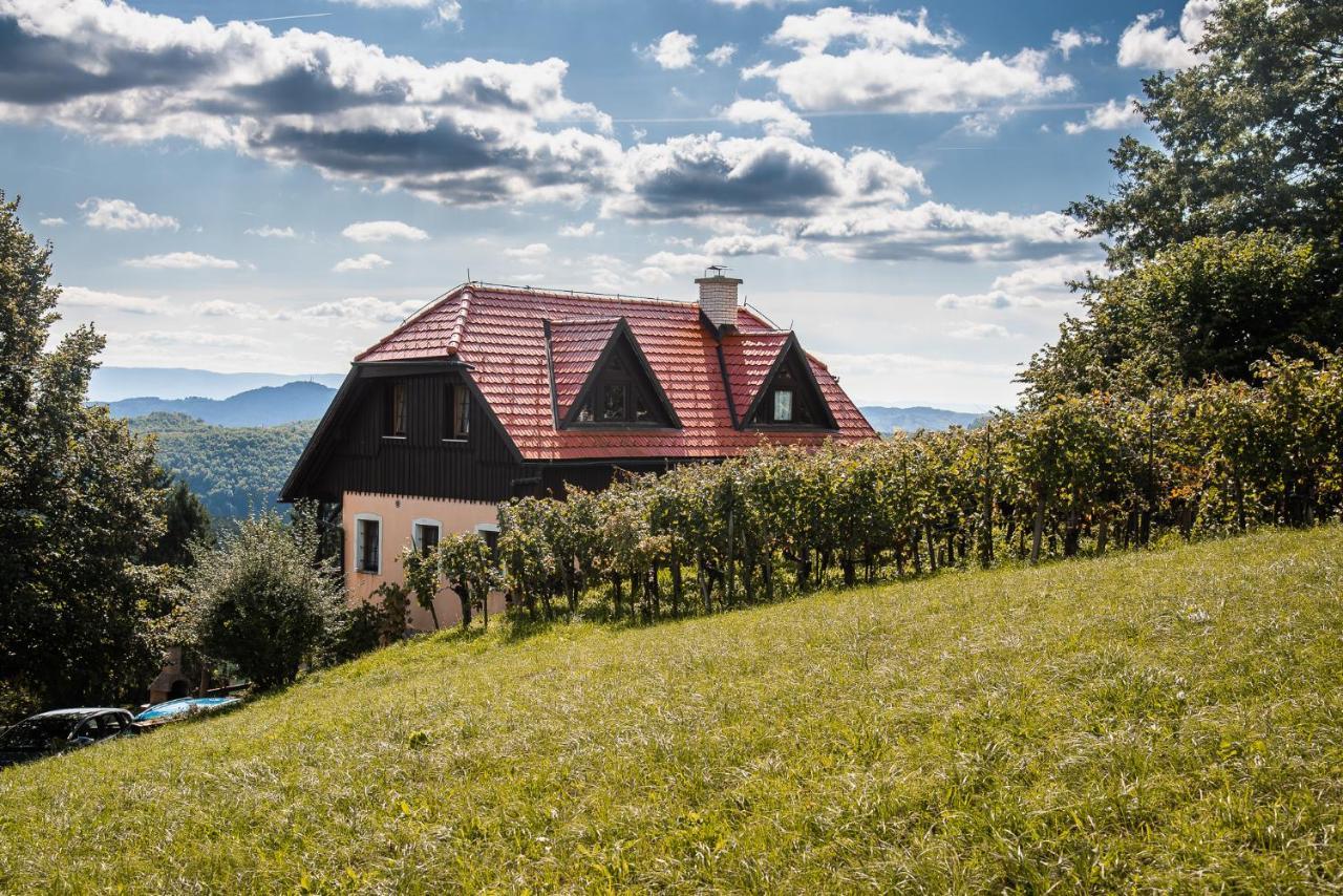 Authentic Countryside Villa With Hot Tub Veliki Kamen Exterior photo